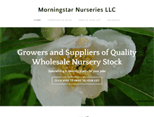 Tablet Screenshot of morningstarnurseriesri.com